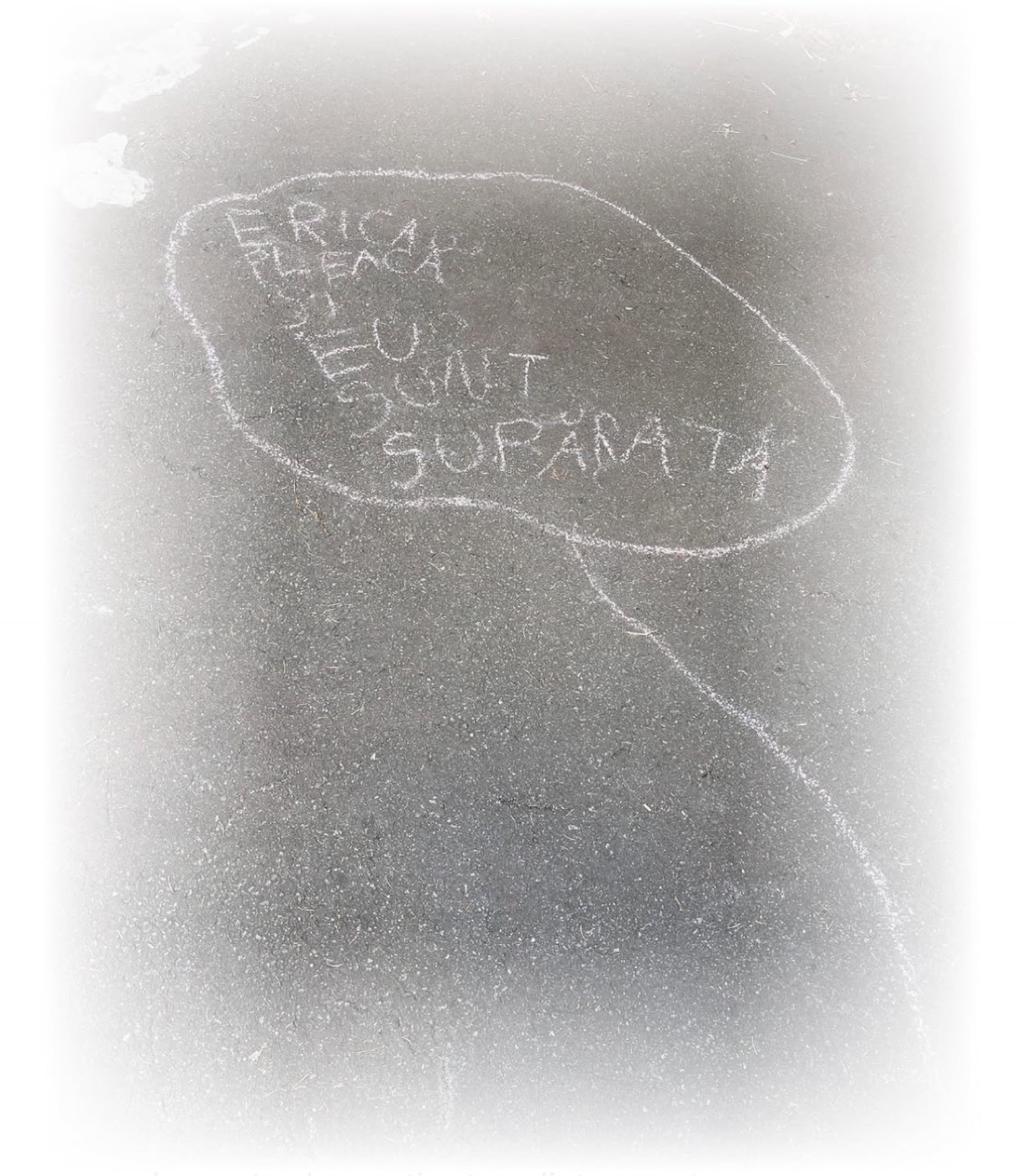Emoții pe asfalt